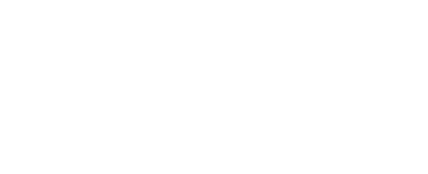 Boddi